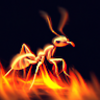 fireant333